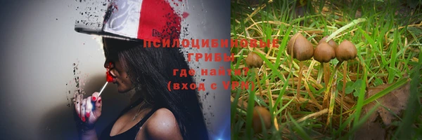 каннабис Баксан