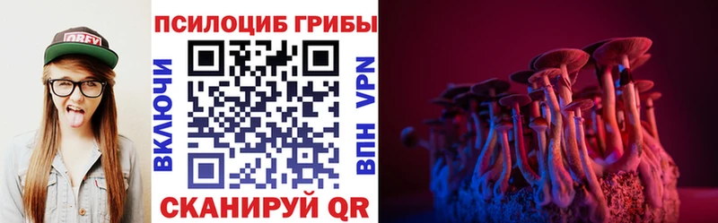 Псилоцибиновые грибы Psilocybe  kraken tor  Волгореченск  купить  сайты 